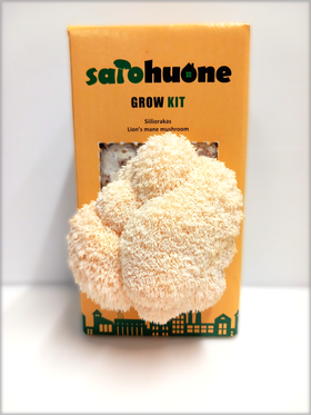 Grow Kit (Siiliorakas)