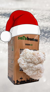 *JOULULAHJA* Grow Kit (Siiliorakas)