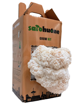 *JOULULAHJA* Grow Kit (Siiliorakas)