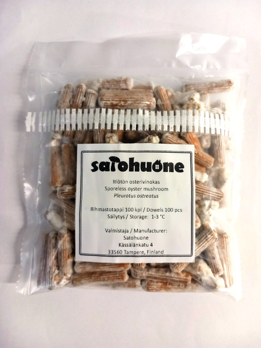 Osterivinokastapit 100 kpl