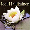 Surun sillalla, Joel Hallikainen