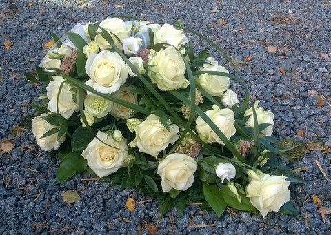 Valkoinen ruusu, maksaruoho
