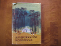 Savikirkkoni Kongossa, Ilmari Penttinen