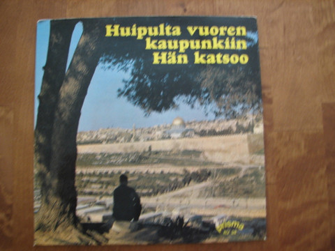 Huipulta vuoren kaupunkiin Hän katsoo, Risto Kalliokuusi