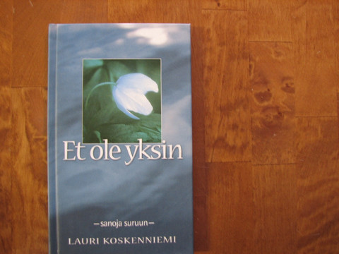 Et ole yksin, Lauri Koskenniemi