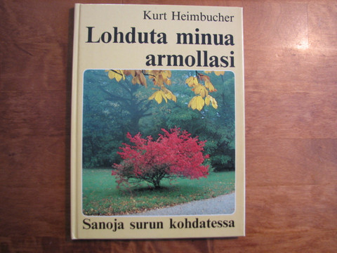 Lohduta minua armollasi, sanoja surun kohdatessa, Kurt Heimbucher