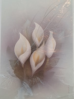 Suruadressi, Kallankukat, tekstitön