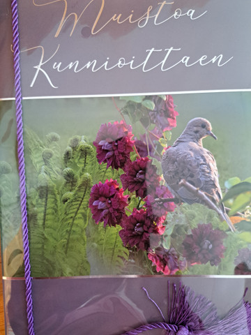 Suruadressi, lintu viinikärhössä