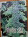Yhteyden silta, Evelyn Christenson, minikirja 60 mm x 83 mm, SH