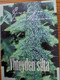 Yhteyden silta, Evelyn Christenson, minikirja 60 mm x 83 mm, SH