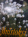 Muistoksi, minikirja 60 mm x 83 mm, SH