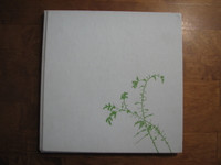 Kevään Kristus, Osmo Visuri