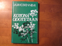 Kotona odotetaan, Lauri Koskenniemi