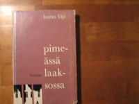 Pimeässä laaksossa, Hanns Lilje