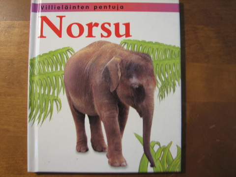 Norsu, Jinny Johnson