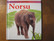 Norsu, Jinny Johnson