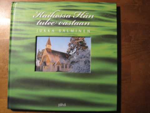 Kaikessa hän tulee vastaan, Jukka Salminen, d2