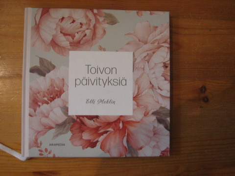 Toivon päivityksiä, Elli Meklin, d2