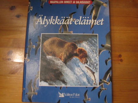 Älykkäät eläimet
