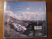 Siunattuna kulkemaan, Samuli Saarinen