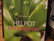 Helpot huonekasvit, Paul Williams, S