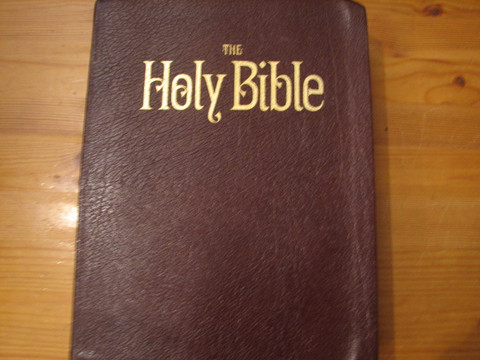 Holy Bible, Analytical Study Edition, VS 17