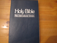 Holy Bible, New International Version, Jeesuksen sanat punaisella, VS 5
