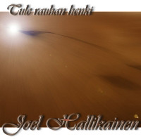 Tule rauhan Henki, Joel Hallikainen