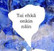 Tai ehkä onkin näin, Salme Rosas