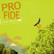 Uudelle ladulle, Pro Fide, SH