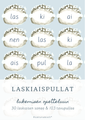 LASKIAISPULLAT lukemisen opetteluun