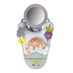 Autolelu lapselle, Taf Toys, Urban Garden, selkä menosuuntaan