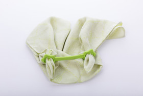 eKoala -harsopidike, 2kpl, oranssi/violetti