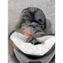 Easygrow Ferd Maxi -lämpöpussi, Grey (sis.untuva / villa), 100cm