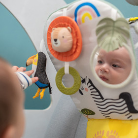 Autolelu lapselle, Taf Toys, Savannah Play & Kick, selkä menosuuntaan