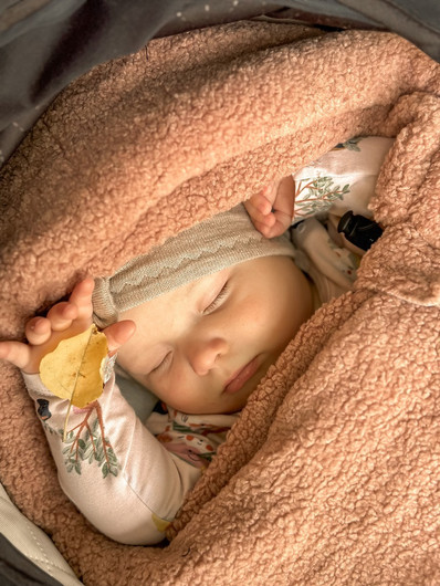 Makaszka Teddy Bear -lämpöpussi vaunu/kaukalo, Coconut, 0kk - 85cm