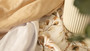 Harsopaketti, beige/kukat, 3 kpl, puuvilla, 70x80cm - SENSILLO