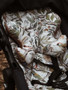 Perhostyyny, 100% bambu, Ornithology, Anti-Shock
