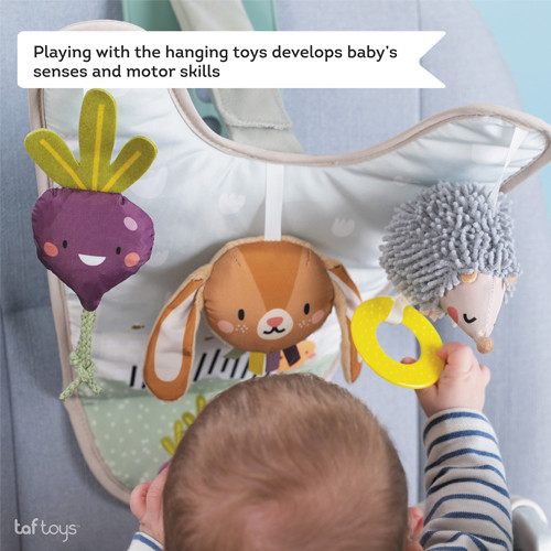 Autolelu lapselle, Taf Toys, Urban Garden, selkä menosuuntaan