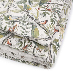 Peitto ja tyyny, Ornithology, 
