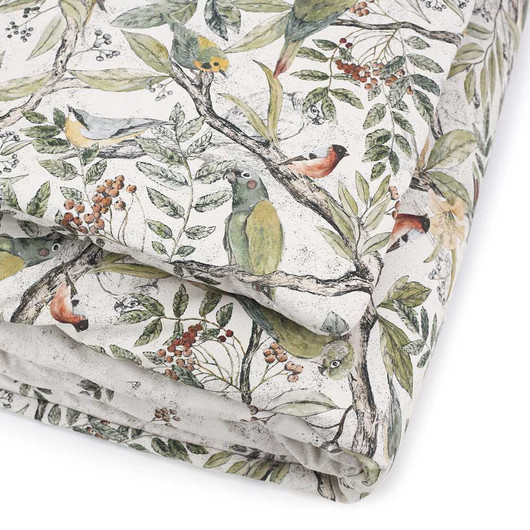 Peitto ja tyyny, Ornithology, 