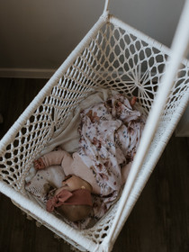 Bambu-tyyny, Ornithology, 25x30cm