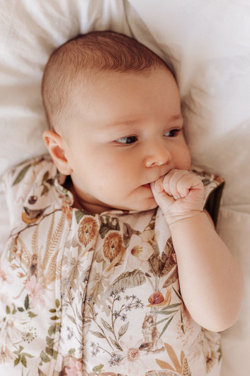 Unipussi, Makaszka, Nature Symphony - 0-9kk - TOG 2,5