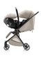 Britax Tira - kuomuratas, Teak