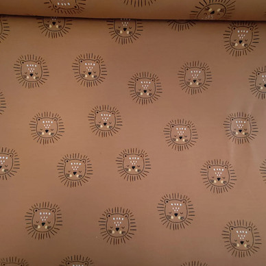 Leijonanpentu, joustocollege 