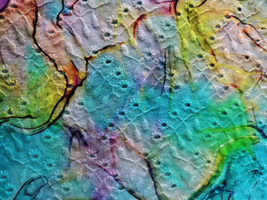 Villi, brodeerattu Puuvilla