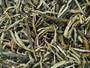 Huang Ya Yellow Tips