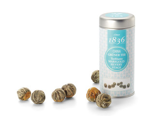 Marigold Silvery stage ( Teekukka )