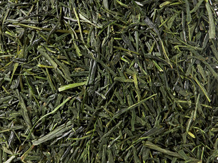 Sencha Fuji