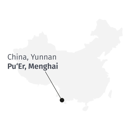 Pu Erh Menghai Five Years - Luomu